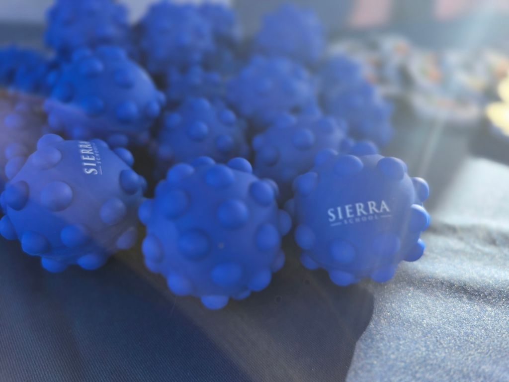 Sierra Schools of Arizona stress balls at YES Day Walk for Autism resource fair