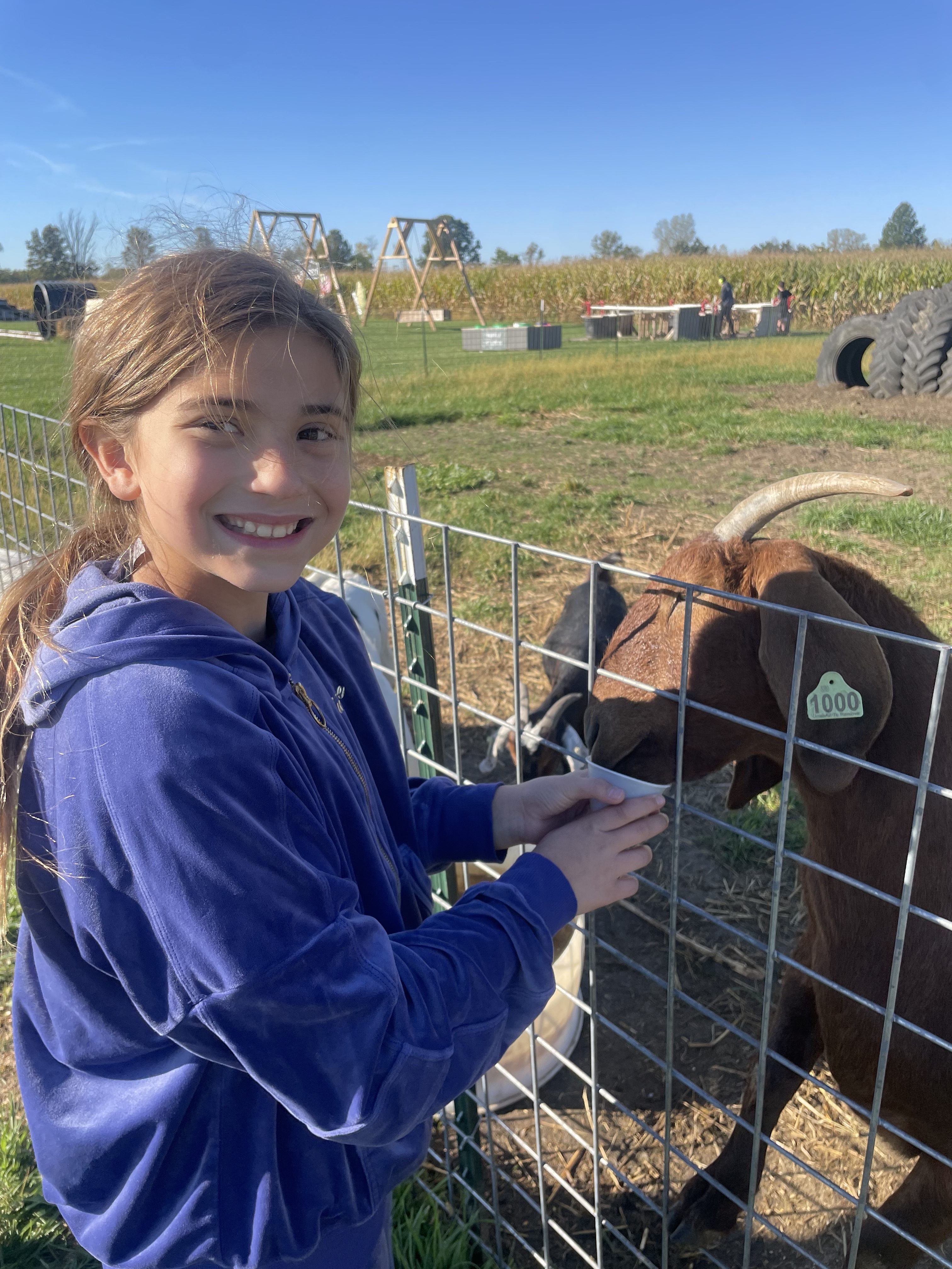 Student pets a farm animal during the High Road School of Bucyrus field trip at The Pickwick Place, enjoying hands-on outdoor learning.