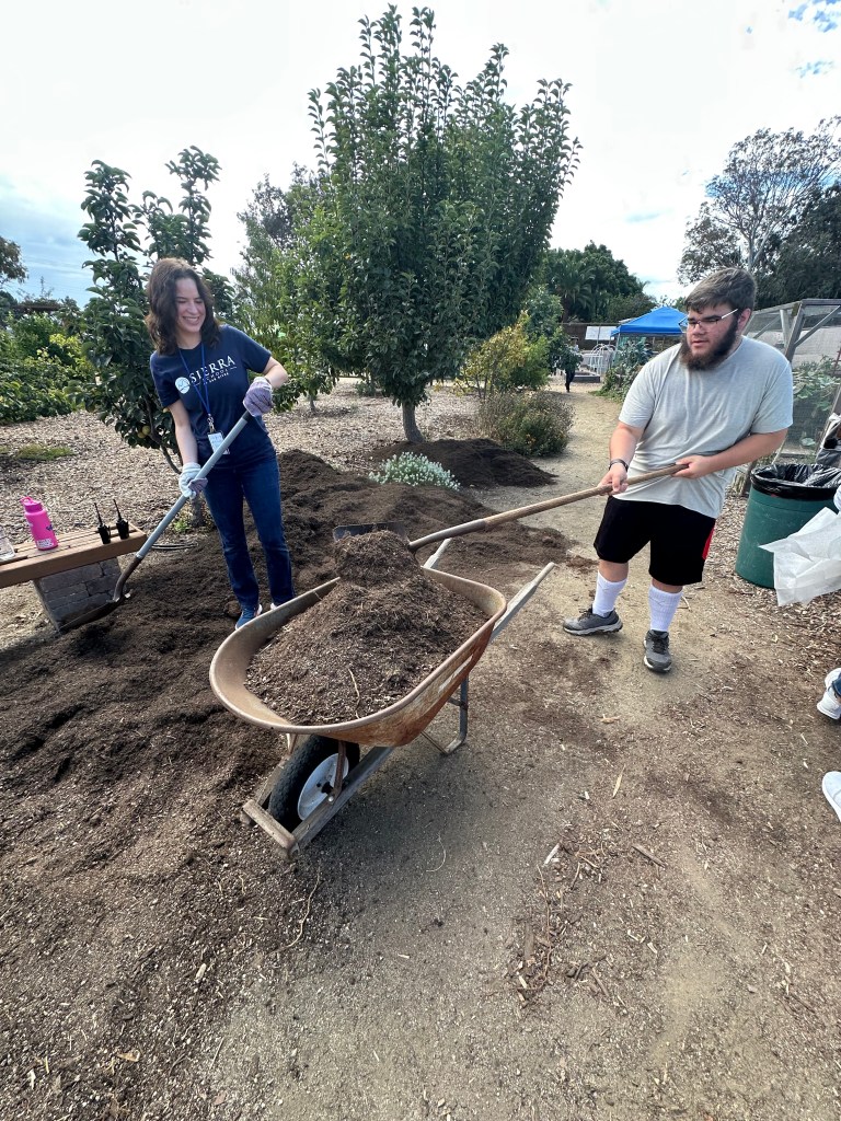 A Sierra School of San Diego student and volunteer work together to fill a wheelbarrow with soil during the sensory garden planting day.
