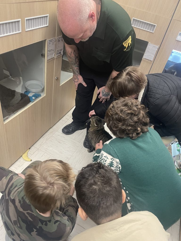 Students Petting animals during the High Road School kindness project