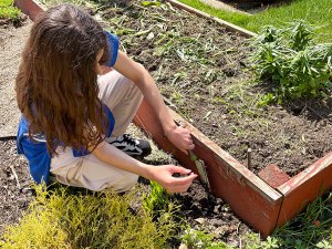Un alumno planta en un bancal elevado durante el Día de la Tierra en la NewHope Academy