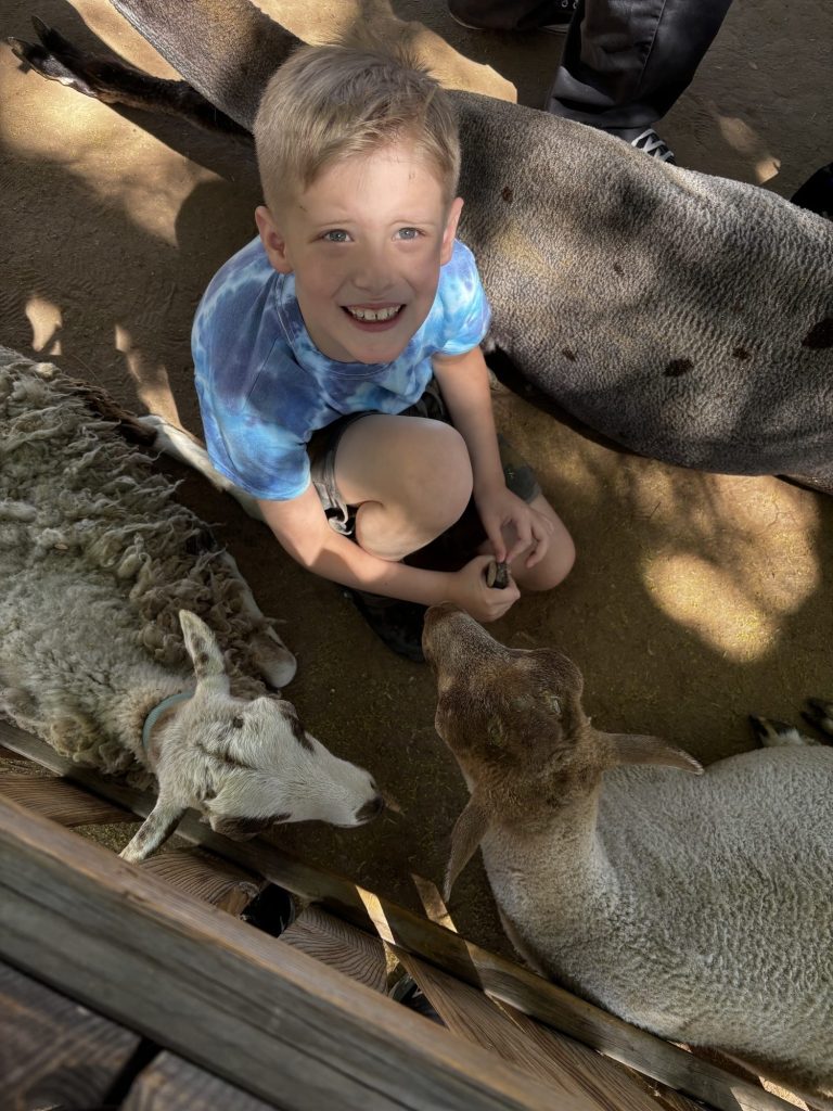 Un estudiante arrodillado junto a unas cabras en un zoológico interactivo, mirando hacia arriba y sonriendo