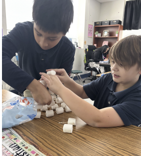 Students building tower with marshmallows and sticks during hands-on activity
