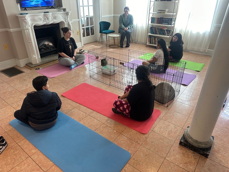 Students and staff seated on mats during Wellness Wednesday activity, focusing on a bunny named Willow in a cage at High Road School Fairfield County