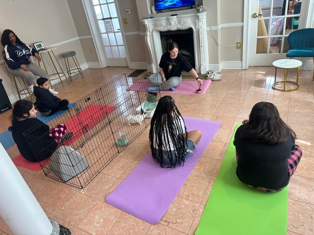 Instructor leading mindfulness activity with students seated on mats while interacting with a bowl, with Willow the bunny nearby