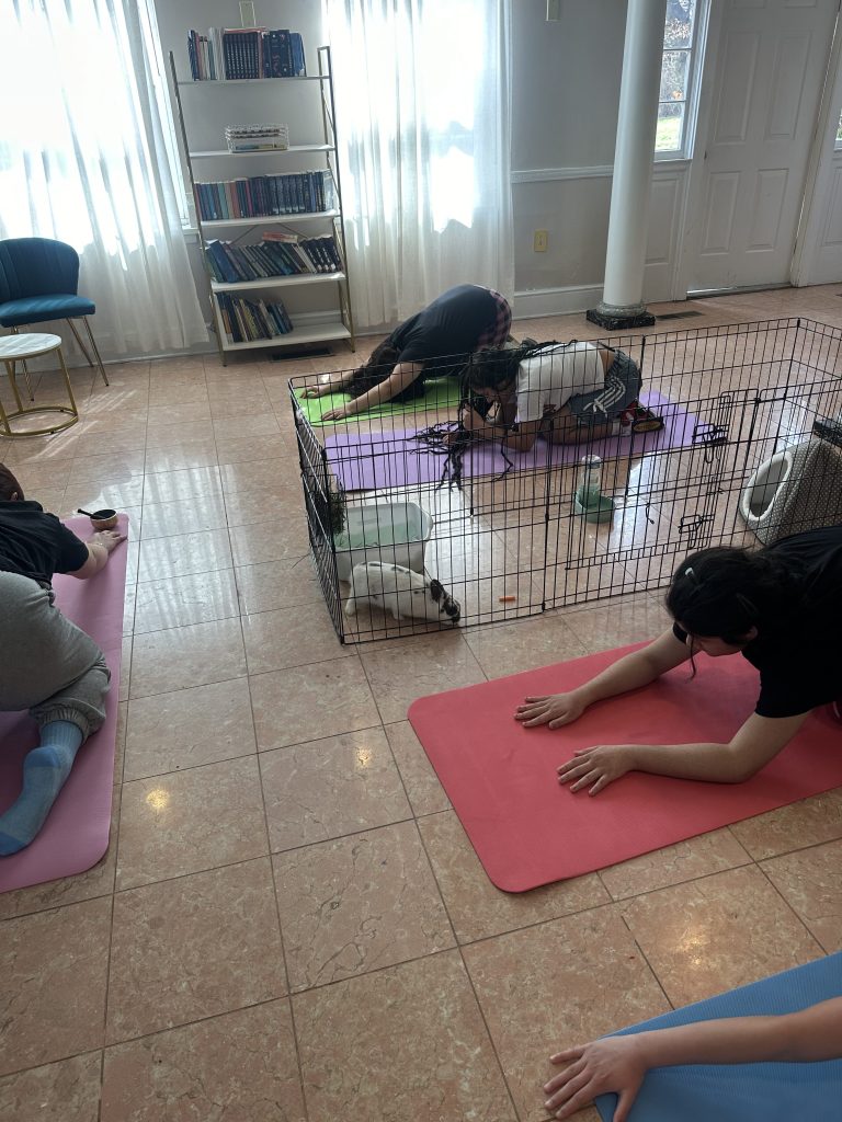 Students practicing a yoga pose with heads down and arms extended during Wellness Wednesday session