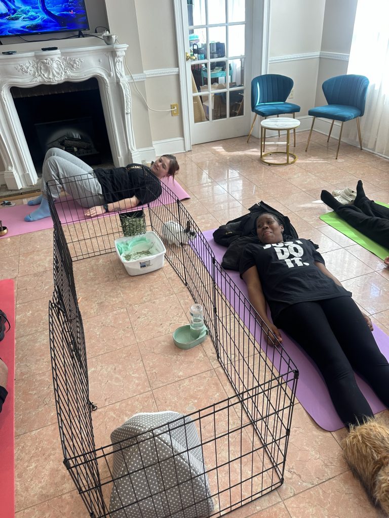 Instructor and staff lying on mats during relaxation exercise while Willow the bunny explores outside the cage nearby