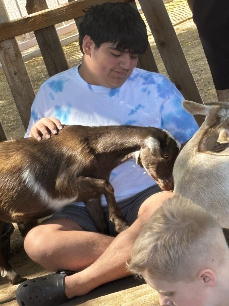 Un estudiante sonríe mientras interactúa con las cabras en el zoológico interactivo