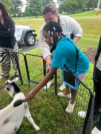 Teresa gently petting a goat during a school activity