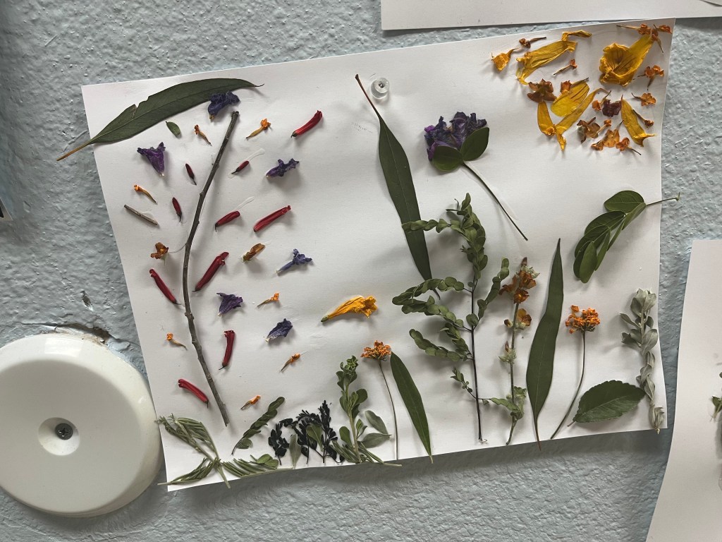 Close-up of a nature-inspired craft decorated with leaves and flower petals hanging on a classroom wall.