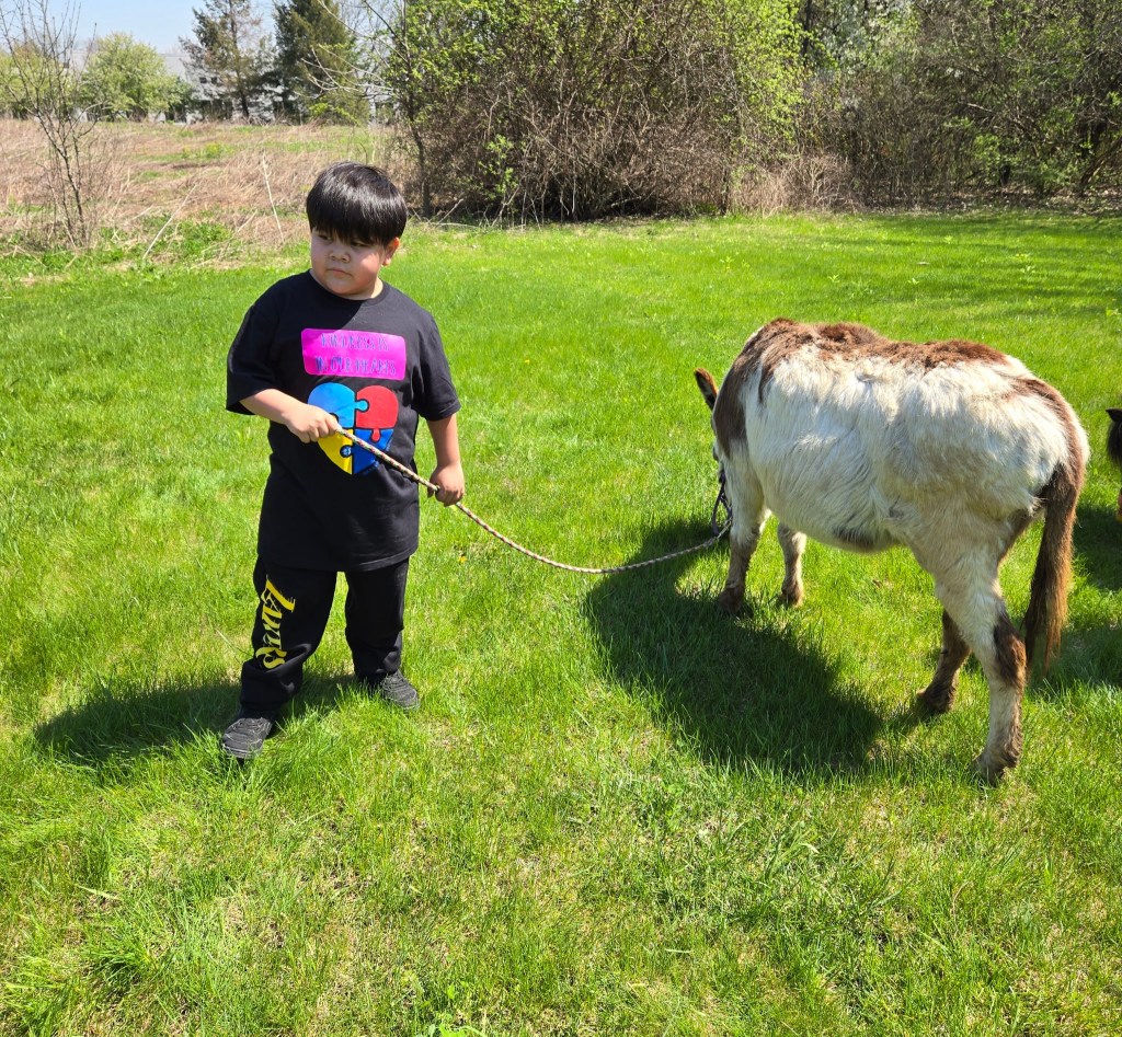 Student interacting with a mini horse during World Autism Month activities at High Road School of Hoffman Estates.