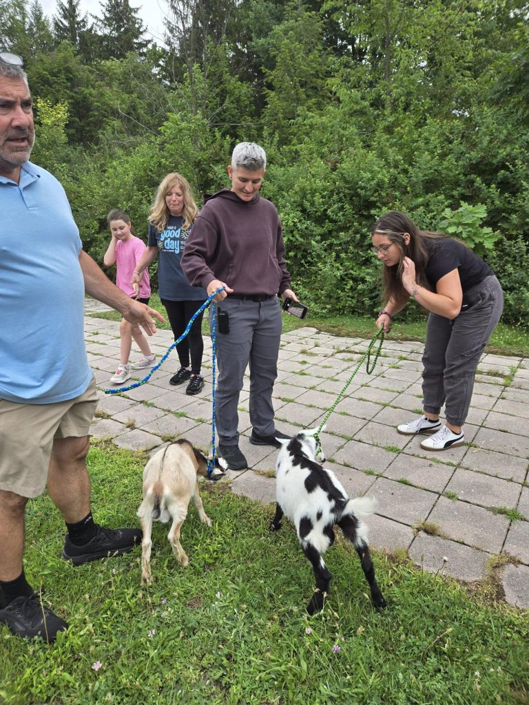 El personal y los alumnos dan la bienvenida a dos cabras al aire libre en el campus de Mayfield de la Graham Academy.