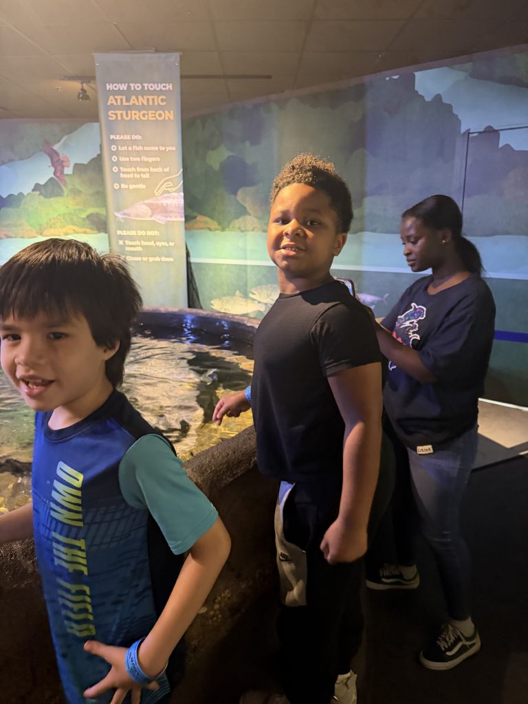 High Road School students gather around an Atlantic sturgeon touch tank during their Maritime Aquarium field trip.
