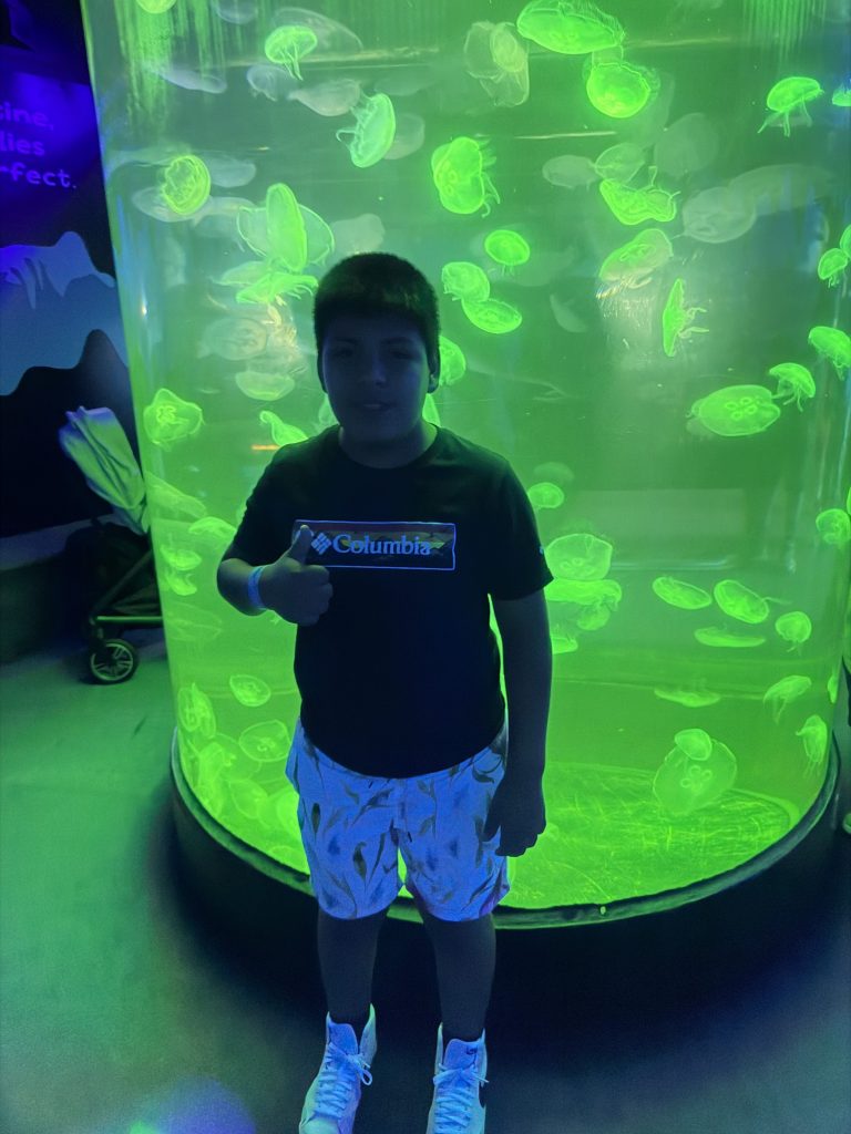 High Road School student gives a thumbs up while standing in front of a glowing jellyfish exhibit.