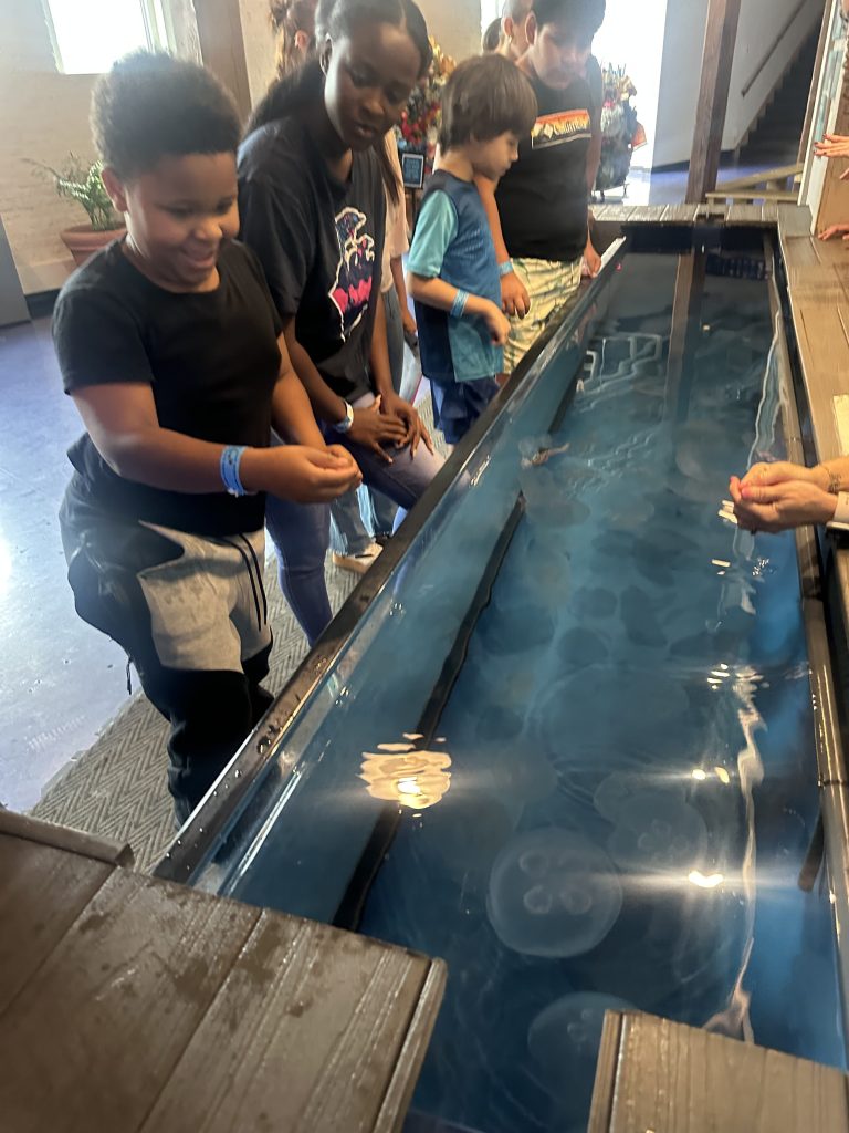 High Road School students participate in a hands on aquarium experience while observing marine life in a touch tank.