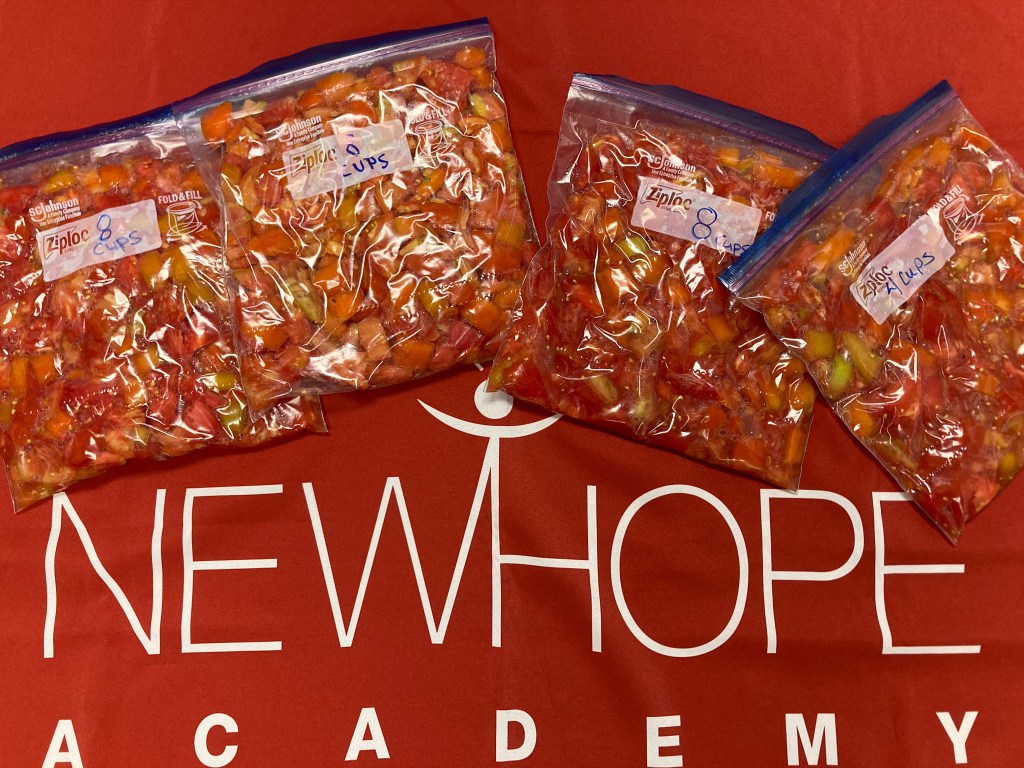 Verduras frescas cosechadas en el huerto de los alumnos de la Academia NewHope