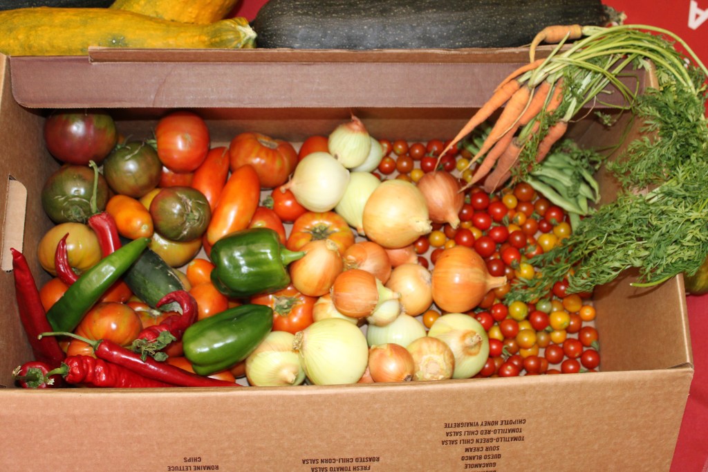 Verduras recién cosechadas del huerto de la Academia NewHope