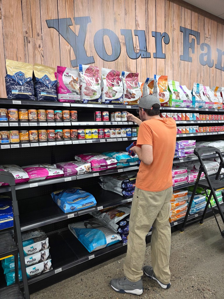 Student stocks pet food on store shelves during a community-based work experience.