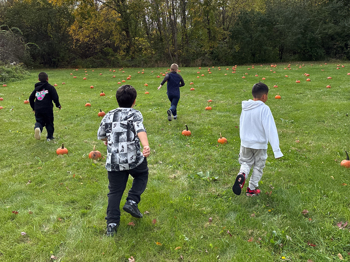 Four High Road School of Hoffman Estates students walk and run through a grassy field filled with pumpkins during Fall Fest.