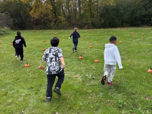 Cuatro alumnos del colegio Four High Road de Hoffman Estates caminan y corren por un prado lleno de calabazas durante el Fall Fest.