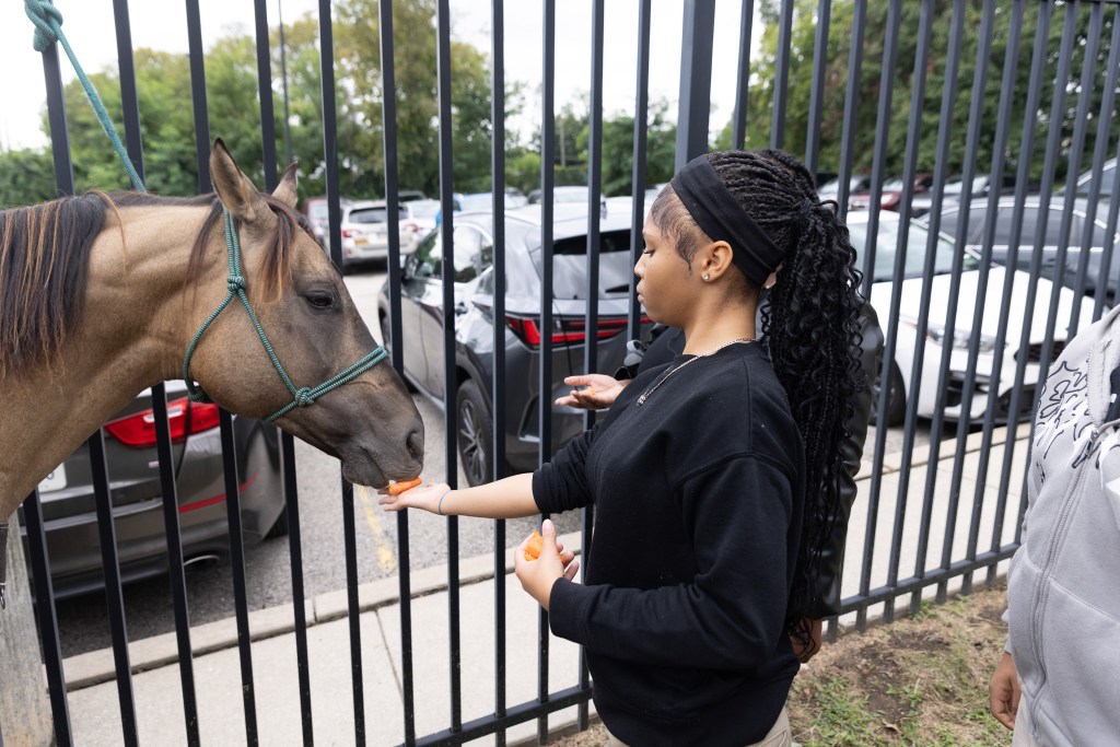 Un alumno de la Achieve Academy East da de comer una zanahoria a un caballo durante una actividad al aire libre de «Concrete Cowboys».