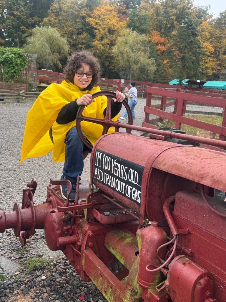 Un alumno de la High Road School del condado de Fairfield, que lleva un chubasquero amarillo, se sienta al volante de un tractor antiguo en la granja de Silverman.