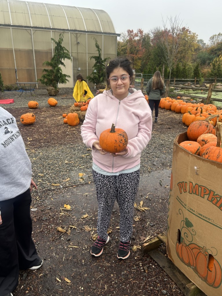 Un alumno de la High Road School del condado de Fairfield, vestido con una sudadera rosa con capucha, sostiene una calabaza junto a un expositor de calabazas.