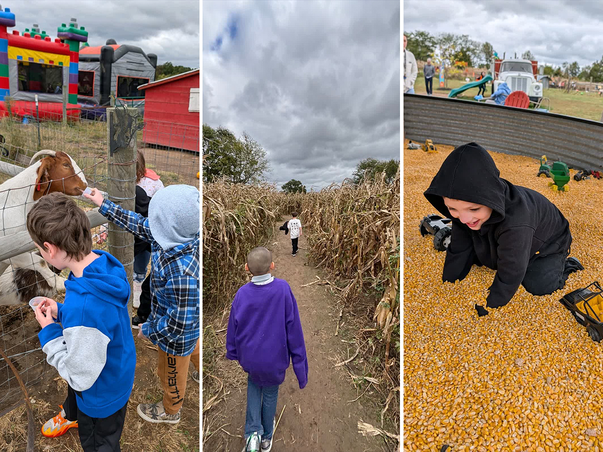 Los alumnos de la escuela High Road de Wright City celebraron su buen comportamiento con una divertida excursión a un huerto de calabazas de la zona.