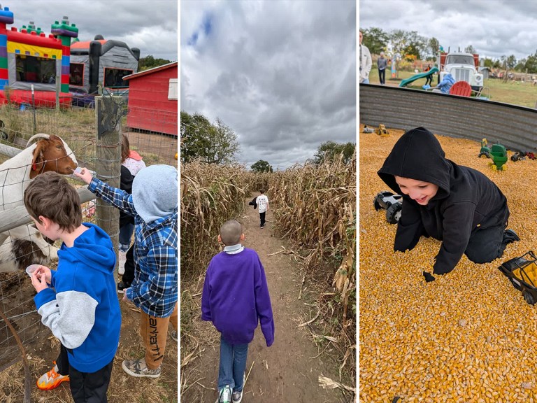 Los alumnos de la escuela High Road de Wright City celebraron su buen comportamiento con una divertida excursión a un huerto de calabazas de la zona.
