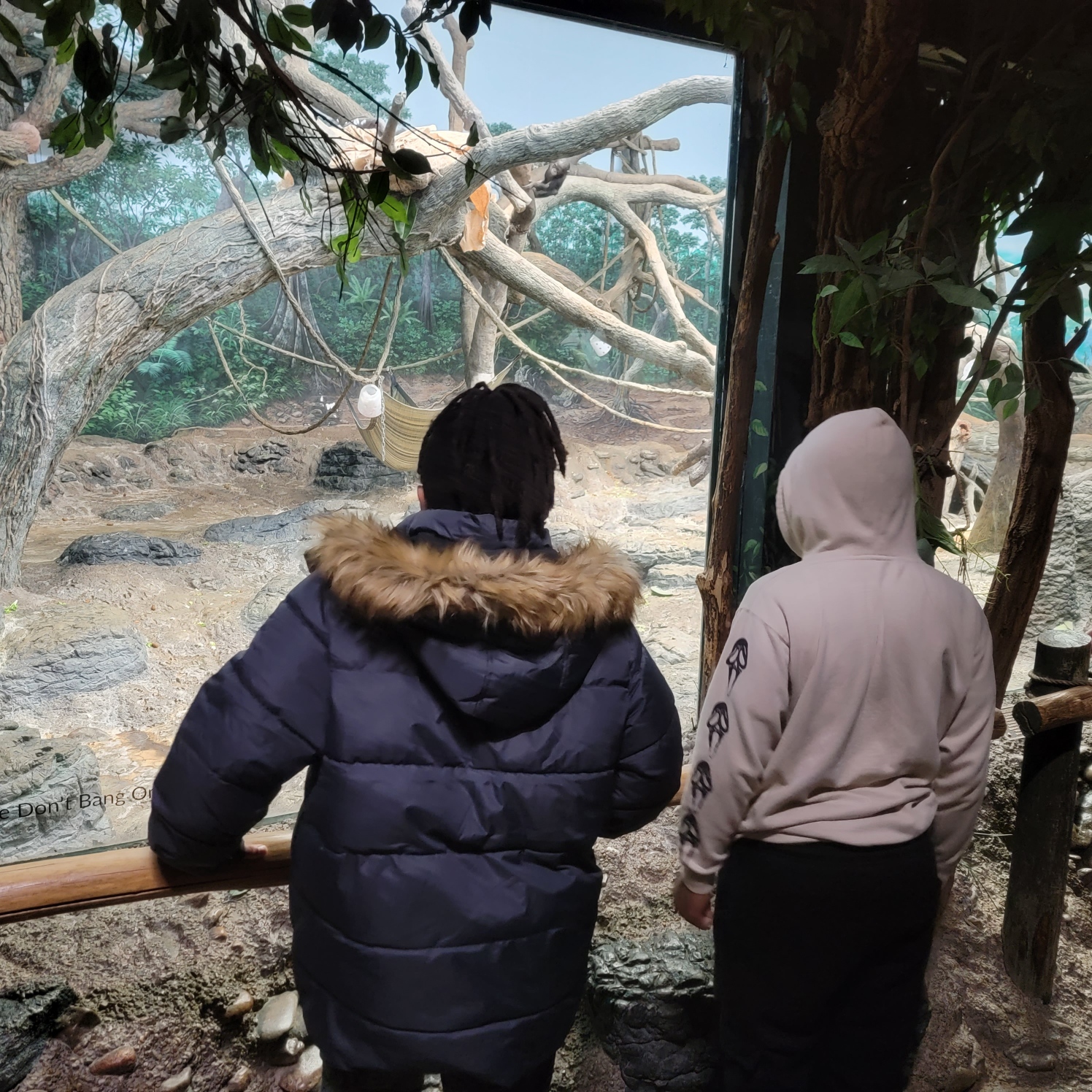 Cincinnati Zoo Trip Image 6