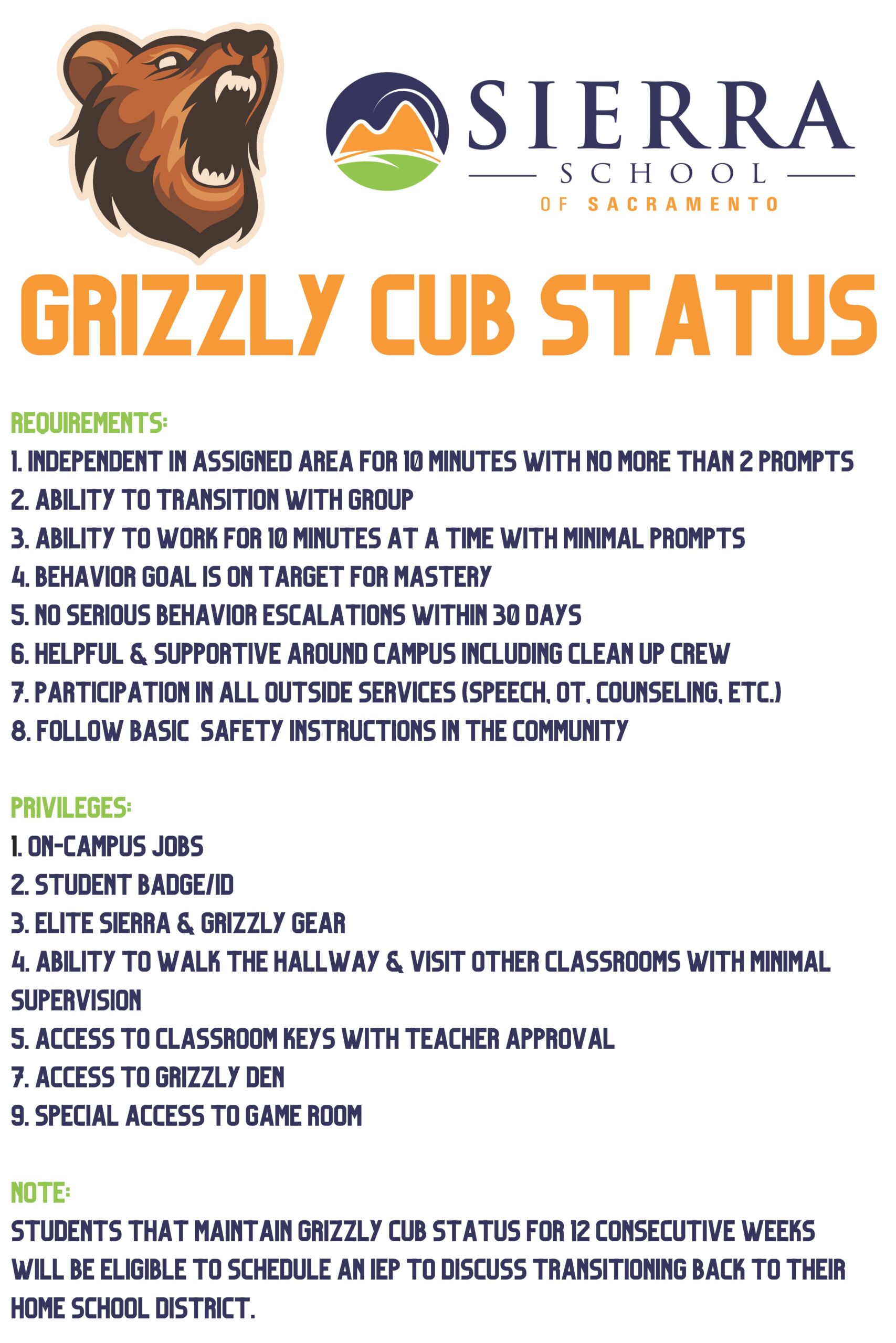 Grizzly Cubs Photo 1
