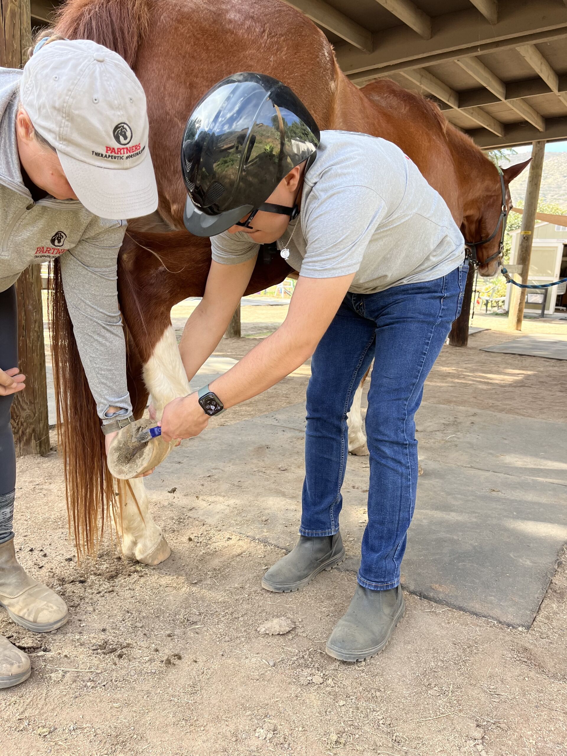 Isaias working at Partners Therapeutic Horsemanship 2