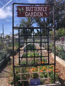 Sierra San Diego Garden