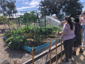 Sierra San Diego Garden Community
