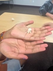 Global Day of Play Photo 1