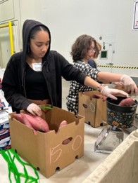 Students volunteering at Solano County food bank 3