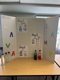 Science Fair Photo 8