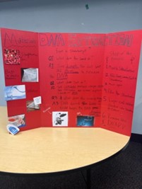 Science Fair Photo 4