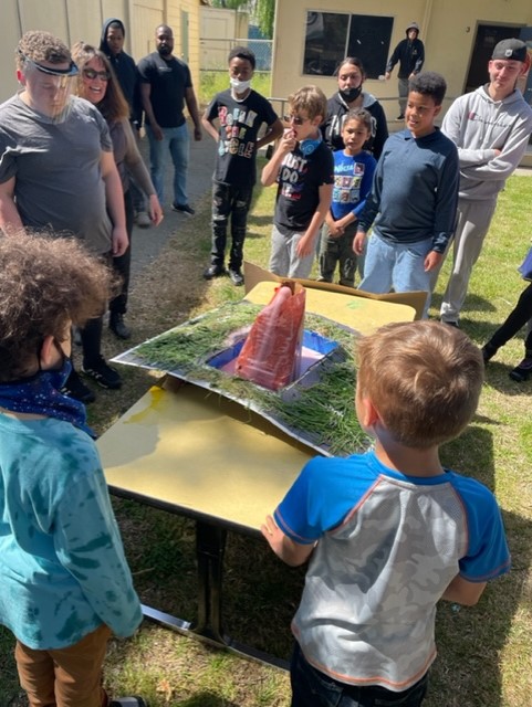 Science Fair Project