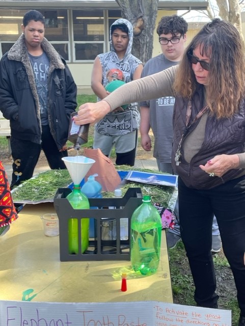 Science Fair Project