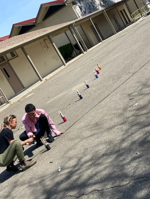 Science Fair Project