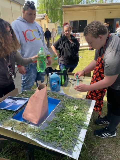 Science Fair Project