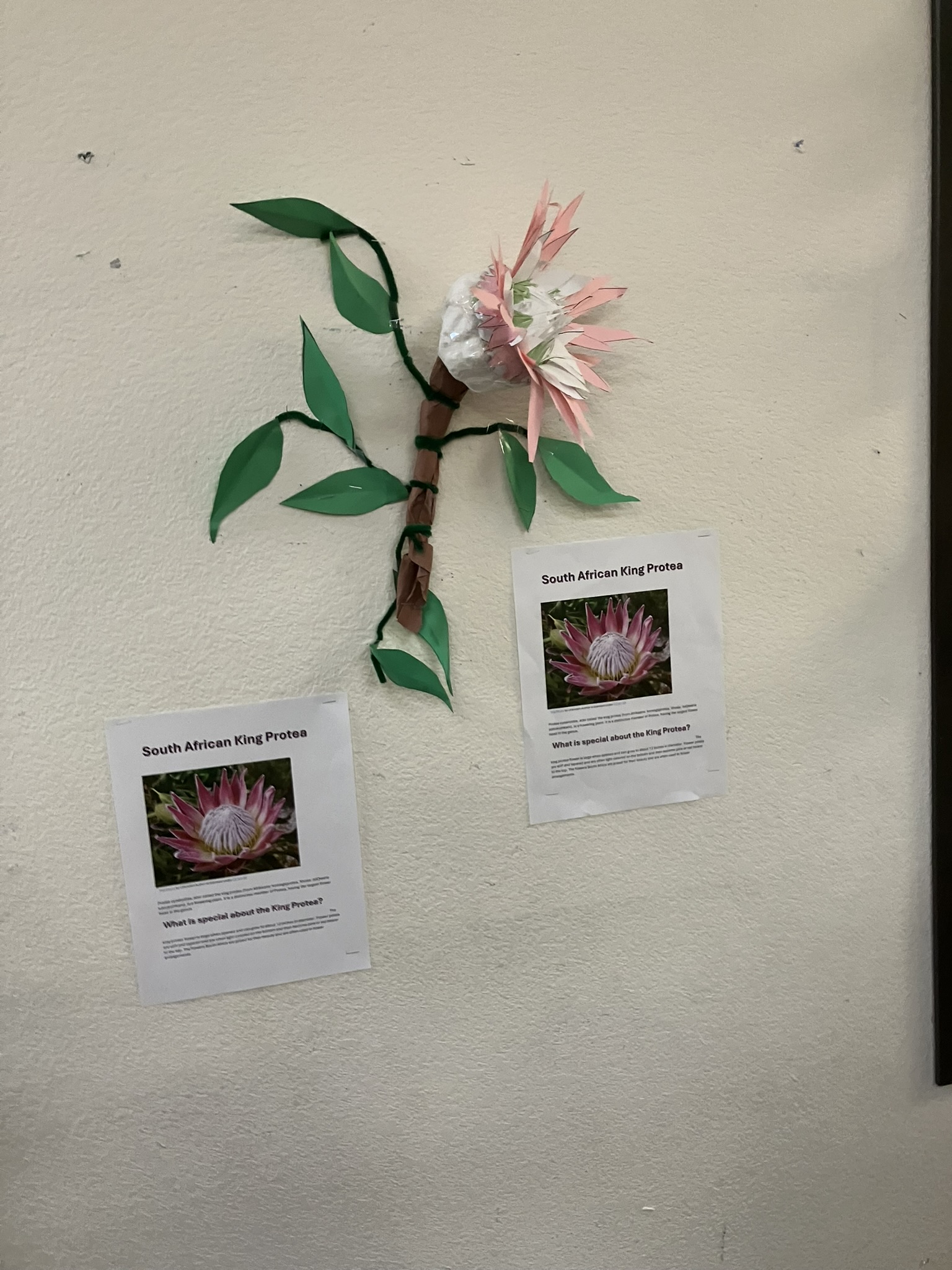 Art Showcase 6